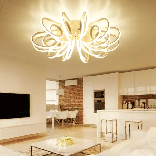Contemporary Ceiling Light