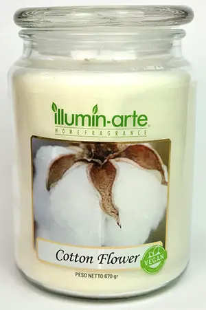 Cotton Flower