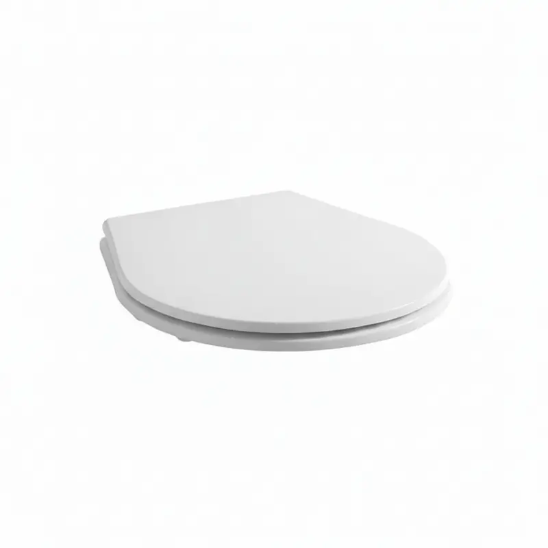 Disegno Ceramica Catino copriwater soft-close CT20600001