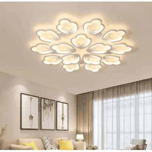 Elegant Ceiling Lights