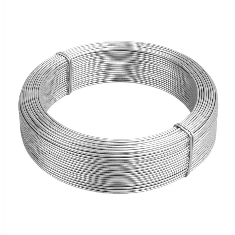 Filo Zincato Ø 2,5 mm x 10 m Antiruggine