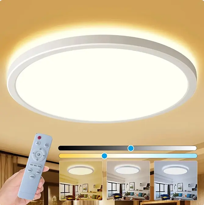 Flush Mount Ceiling Light With Remote Control