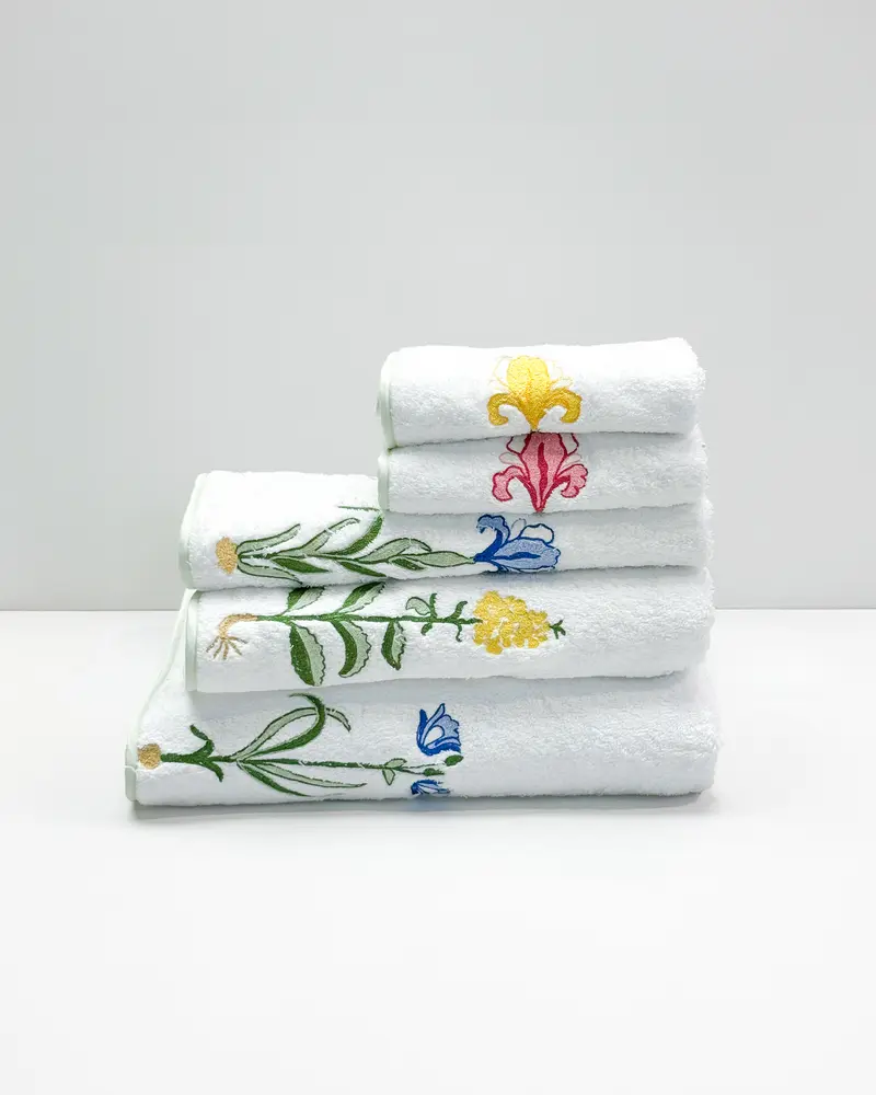 GIGLI - SET 5 PEZZI DI SPUGNA