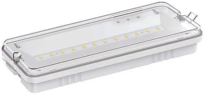 Lampada LED d'emergenza 2W 6500K luce fredda