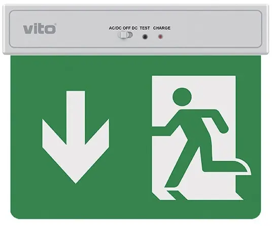 Lampada LED uscita d'emergenza freccia verso il basso 2W 6500K luce fredda