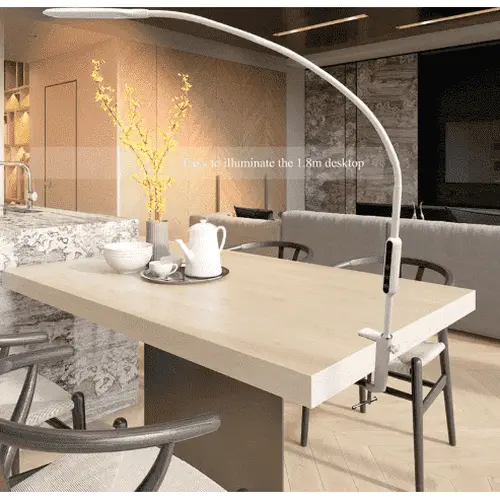 Long Arm Table Lamps