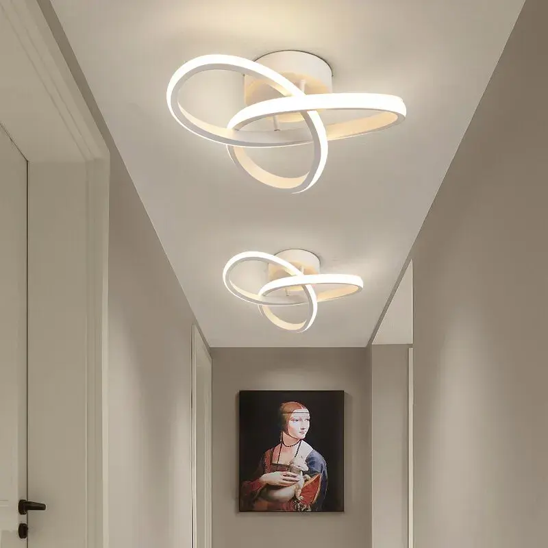 Modern Ceiling Lamps