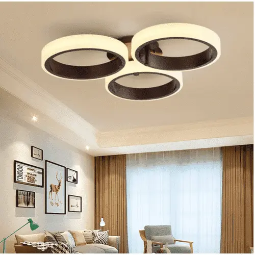 Modern Ceiling Lamps