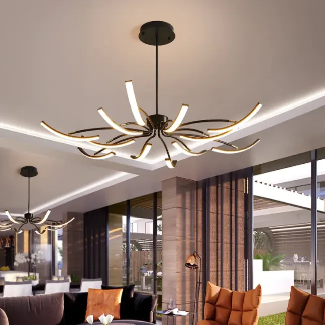 Modern Contemporary Ceiling Light