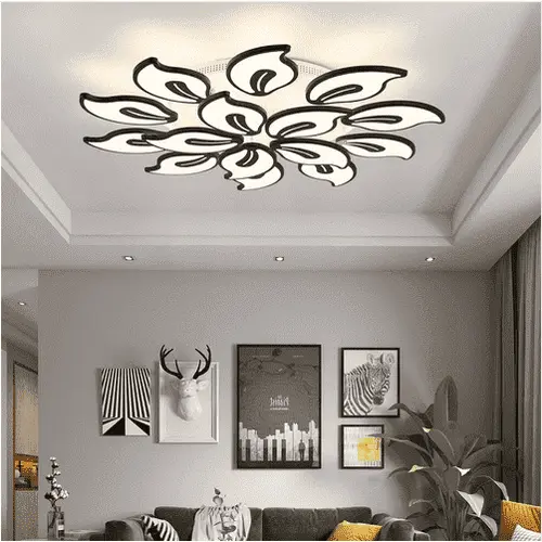 Modern Design Ceiling Lights