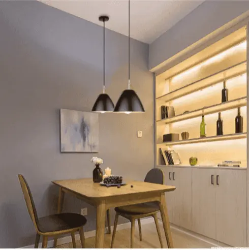 Modern Design Pendant Light