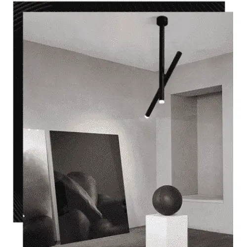 Modern Double Spot Light