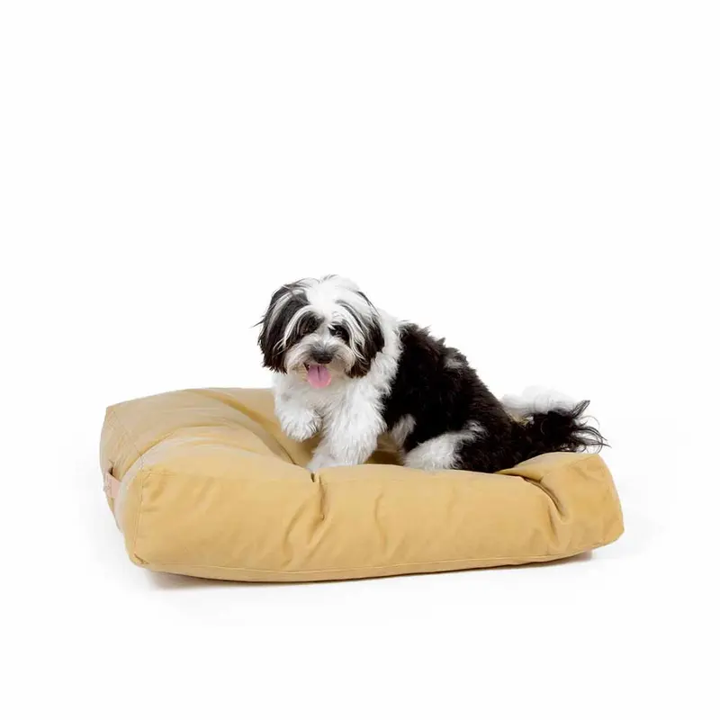 PISOLO S, Cuscino per Cani taglia Piccola Toy Microfibra 60x40
