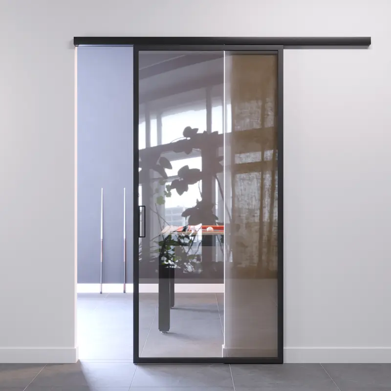 Porta Scorrevole con Anta Profilata in Vetro Riflettente