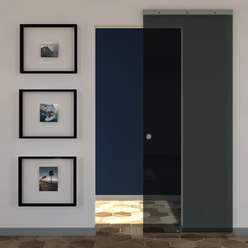 Porta Scorrevole in Vetro Fumè Esterno Muro con Binario Magical Invisibile