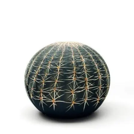 Pouf Tattoo Catus