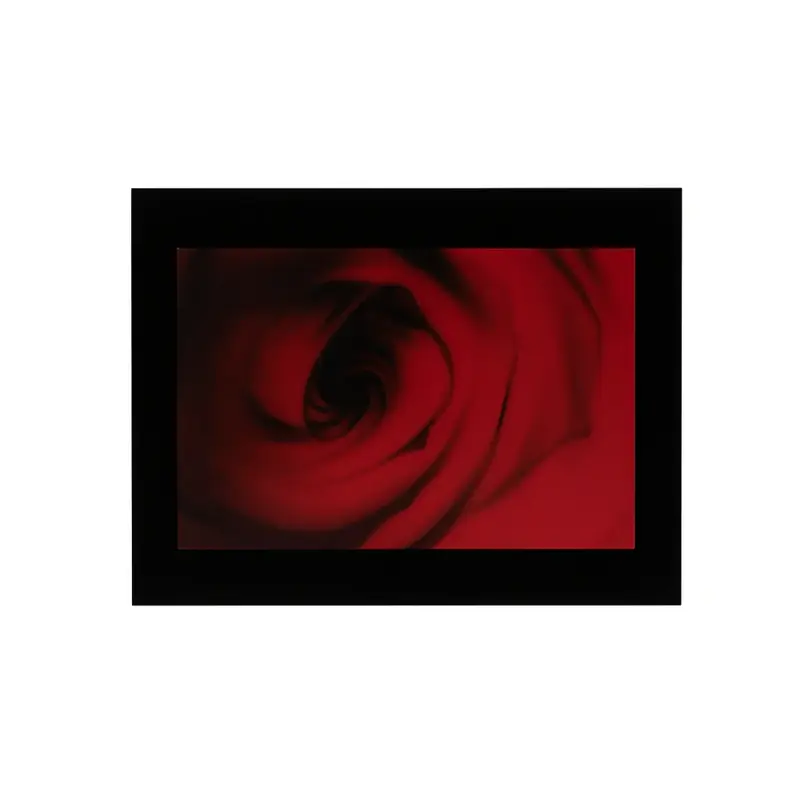 Rose, Pannello decorativo (80cm X 110cm H. 4cm)