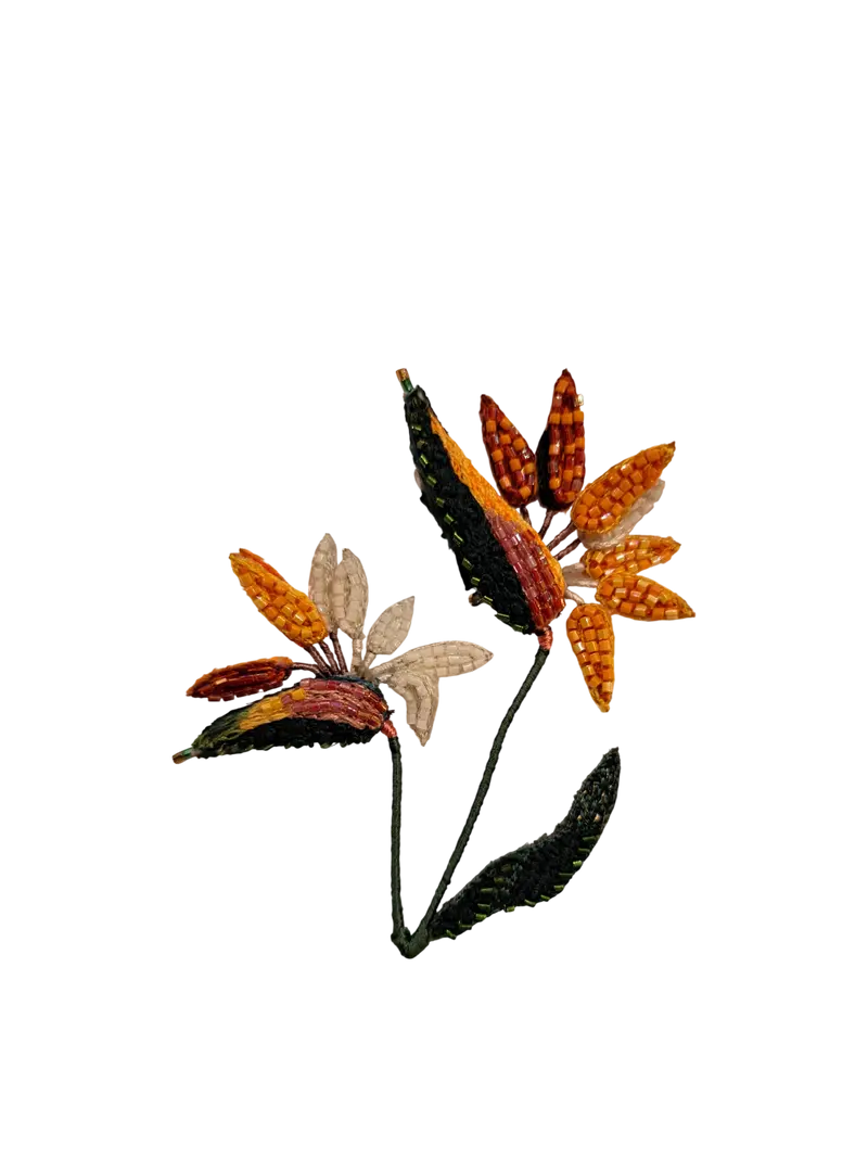 Spilla TROVELORE - Bird of paradise flower