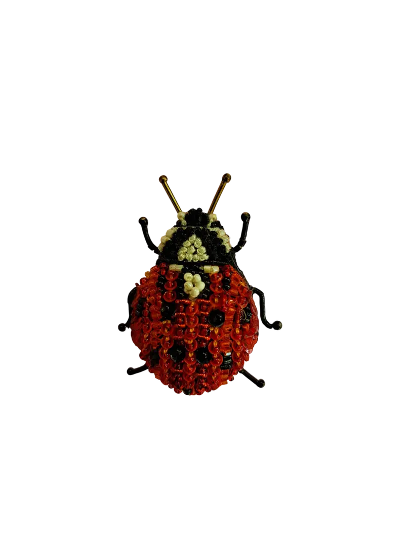 Spilla TROVELORE - Coccinella