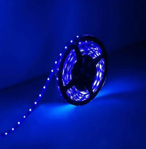 Striscia LED 12V 5m luce blu 4.8W/m VITO