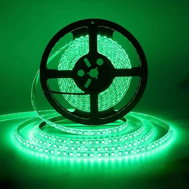 Striscia LED verde 12V 5m 4.8W/m VITO