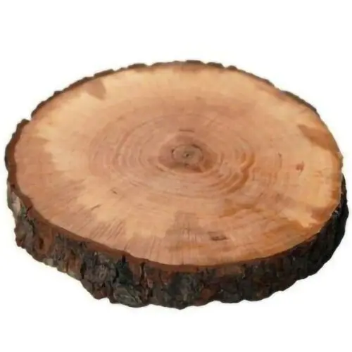 Tagliere Rotondo in Legno di Tronco con Corteccia - Diametro 25-28 cm - Vassoio Rustico Centrotavola