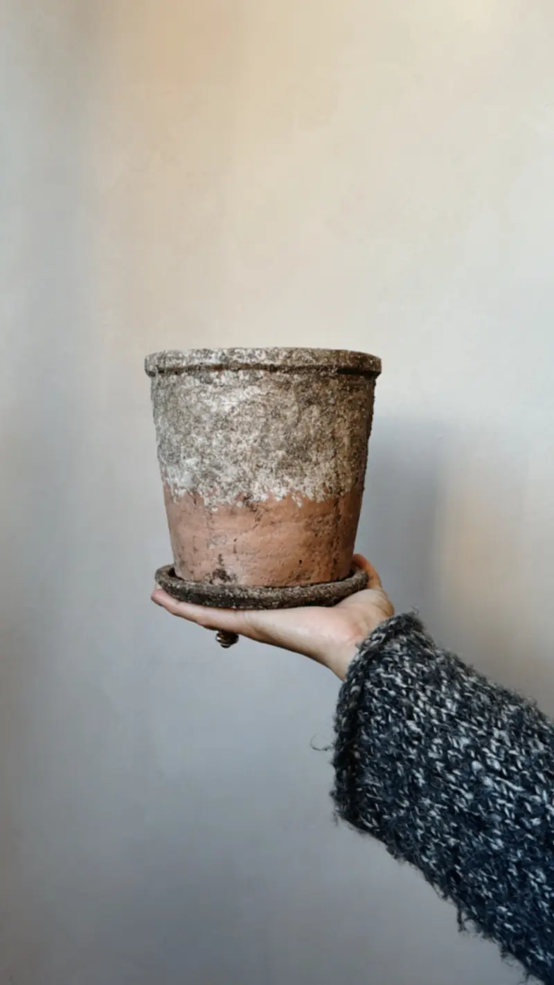 Vaso in Cemento Terracotta